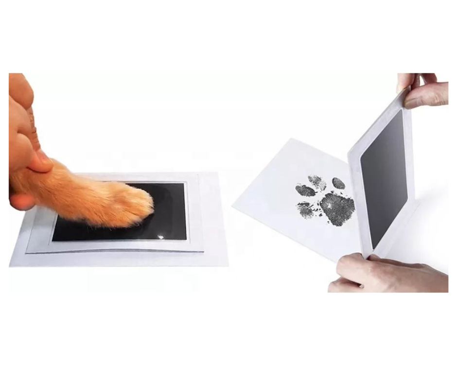 Pfotenabdruck Komplettset