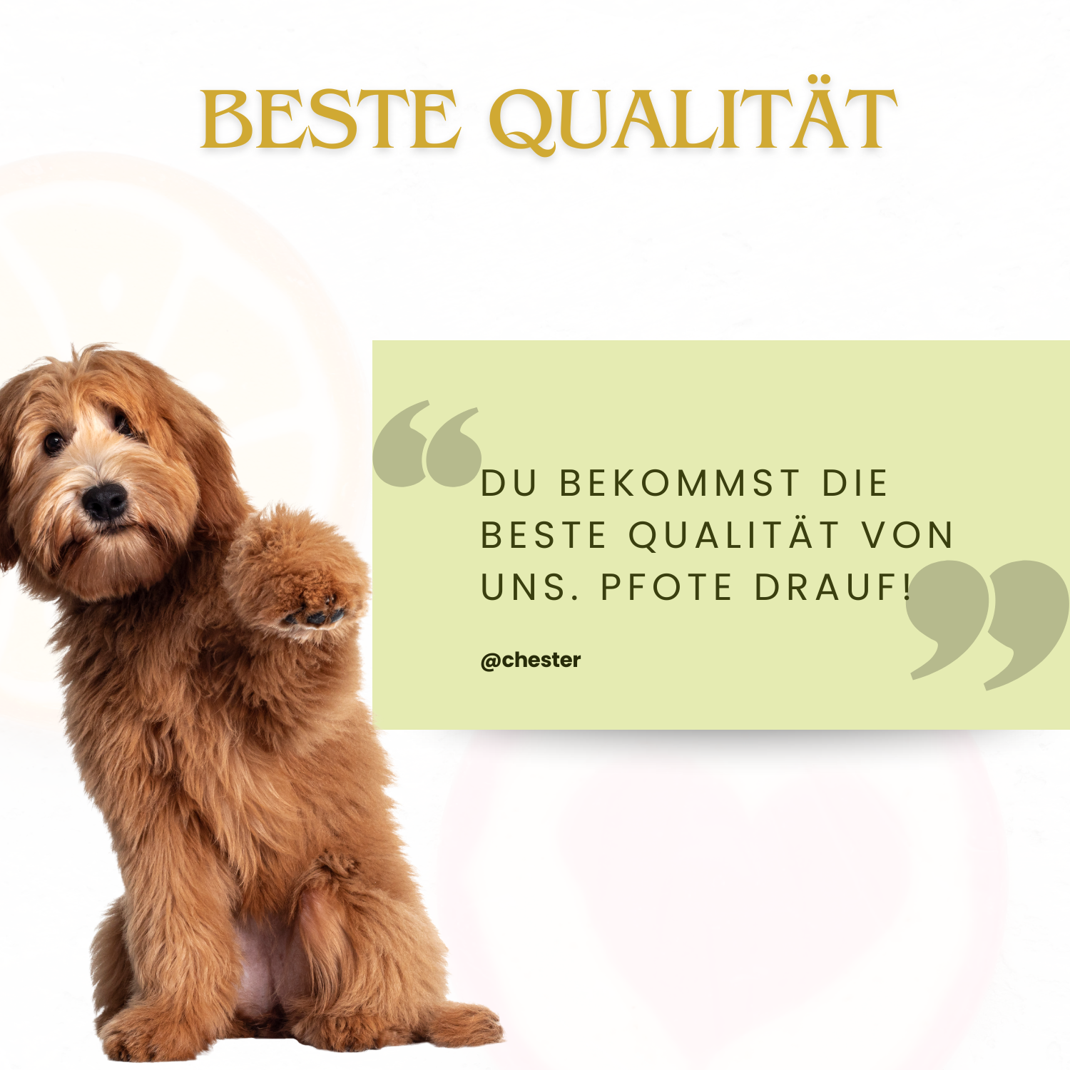Hund gibt Pfote: Text: du bekommst die beste Qualität von uns. Pfote drauf.