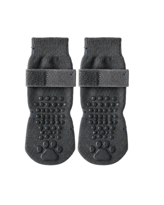 Rutschfeste_Socken_f_r_deinen_Hund_-_Hapaws