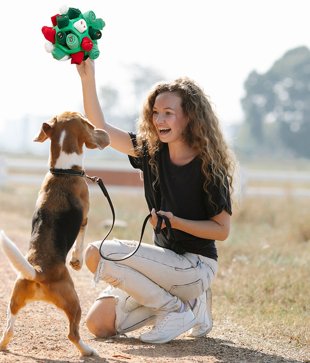 Junge Frau spielt mit ihrem Hund und einem Leckerli Ball
