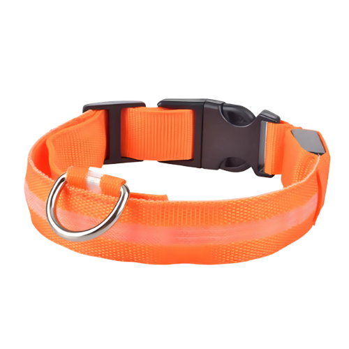 Chester Leuchthalsband Hund & Katze LED