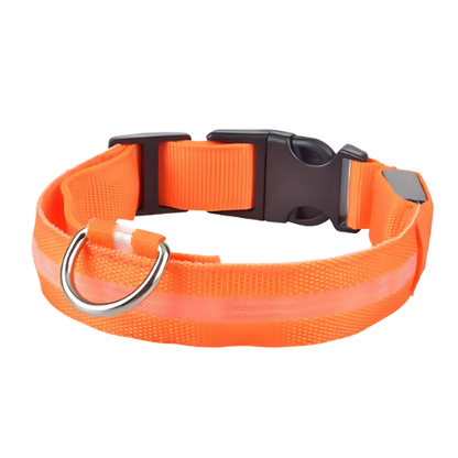 Chester Leuchthalsband Hund & Katze LED
