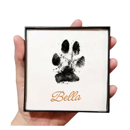 Pfotenabdruck Komplettset