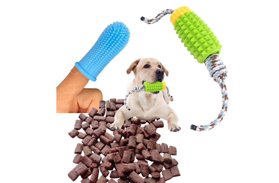 Zahnreinigungs Set für Hunde