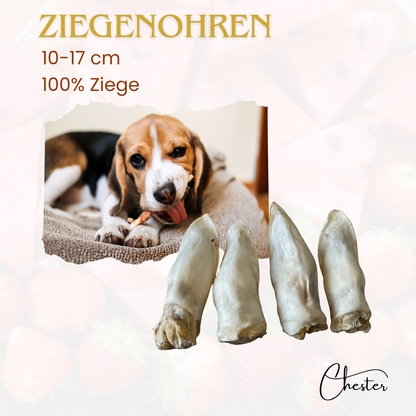 Ziegenohren getrocknet, Hund im Körbchen mit Kaustick, Überschrift Ziegenohren, Text 10-17 cm , 100% Ziuege
