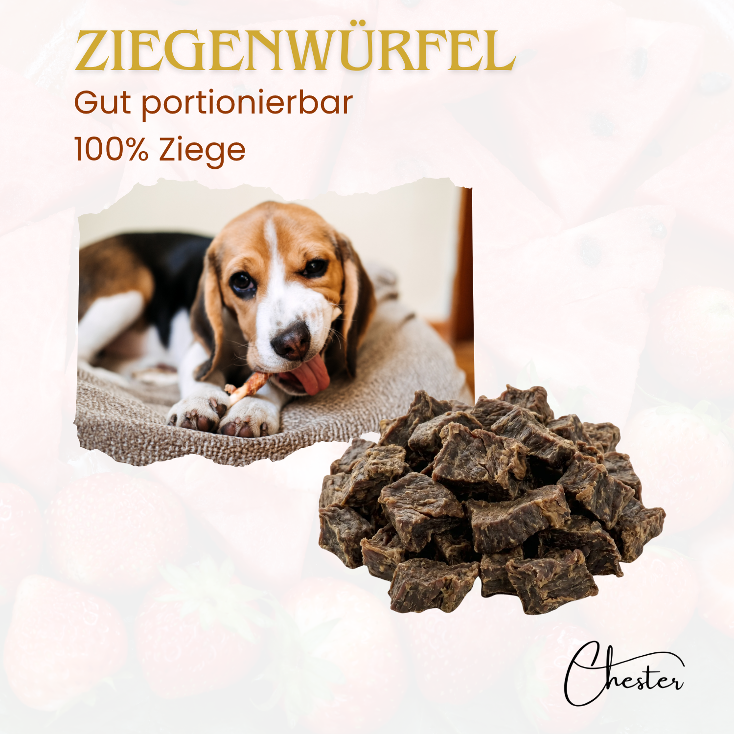 Ziegenwürfel getrocknet, Hund mit Kaustange. Text: gut portionierbar, 100% Ziege