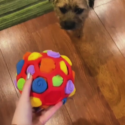 Video Leckerli-Ball in Aktion