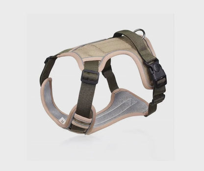 Chester Hundegeschirr sicherer Halt, bequemer Komfort