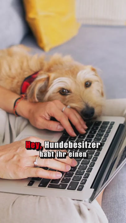 Video für Hundespielzeug