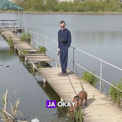 Chester´s Clicker - Clickertraining für Hunde