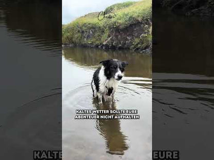 Warmer, wetterfester Hundemantel für große Hunde XL